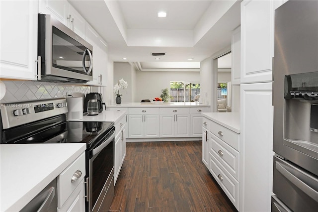 19915 NE 10th Place Way, Miami, FL 33179 - kitchen featuring stainless steel appliances, a tray ceiling, light countertops, dark wood-type flooring, and white cabinets