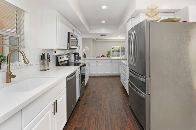 19915 NE 10th Place Way, Miami, FL 33179 - kitchen featuring stainless steel appliances, a sink, light countertops, white cabinets, and dark wood-style flooring
