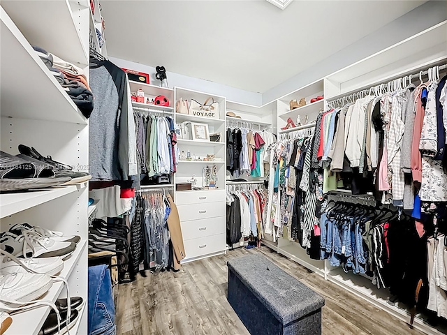 walk in closet featuring wood finished floors