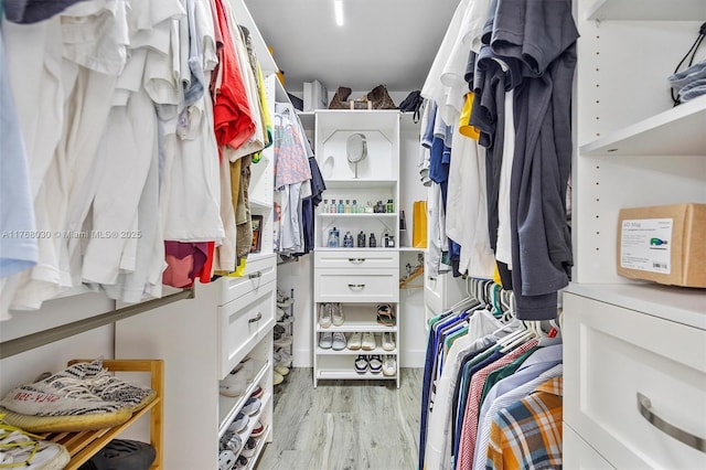 14601 N Kendall Dr Unit 206K, Miami, FL 33186 - spacious closet featuring light wood-style flooring