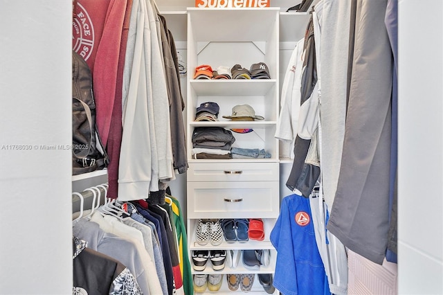 14601 N Kendall Dr Unit 206K, Miami, FL 33186 - view of spacious closet
