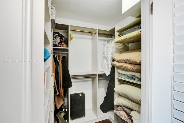 view of walk in closet