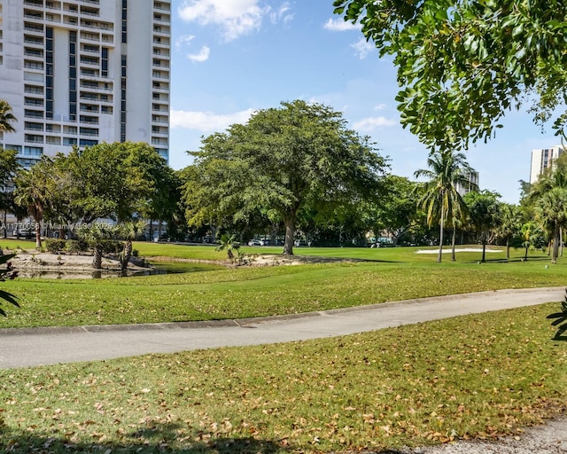 view of home's community with a lawn