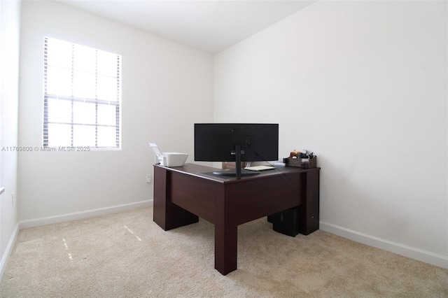 office space featuring baseboards and carpet flooring
