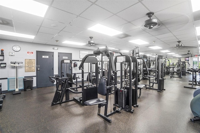 exercise room with a ceiling fan and a paneled ceiling