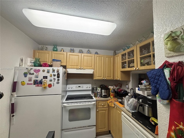 9350 Fontainebleau Blvd Unit 312, Miami, FL 33172 - kitchen with white appliances, under cabinet range hood, a textured ceiling, glass insert cabinets, and light countertops