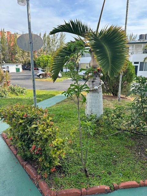 18720 NE 18th Ave Unit 115, Miami, FL 33179 - photo 5