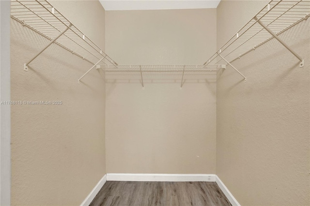 walk in closet with wood finished floors