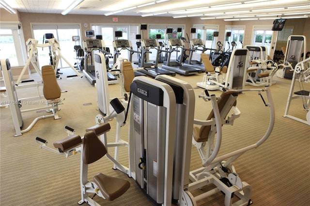 20000 E Country Club Dr Unit Ts02, Aventura, FL 33180 - gym featuring carpet flooring and a healthy amount of sunlight