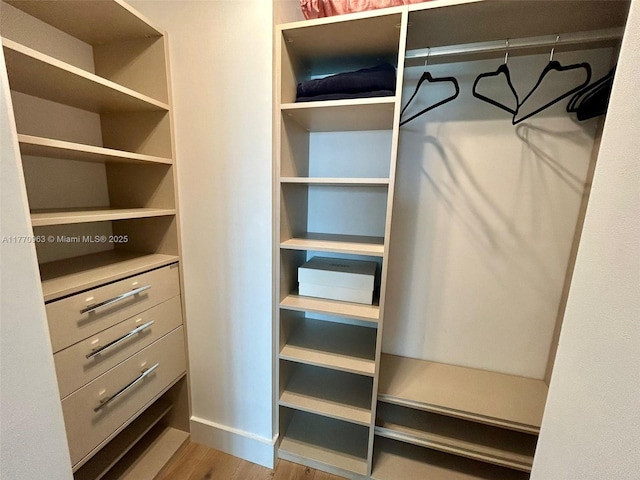 view of closet