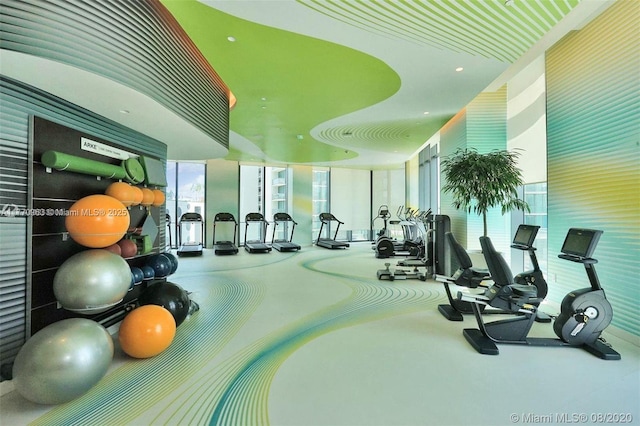workout area with floor to ceiling windows