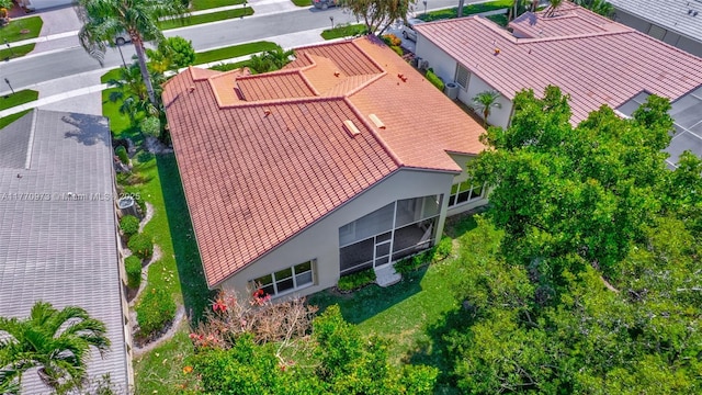 drone / aerial view