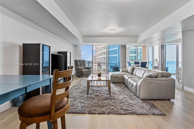 living area featuring baseboards and wood finished floors