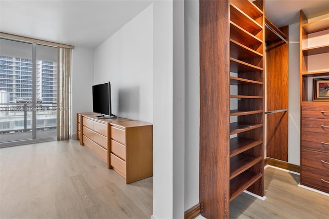 spacious closet featuring light wood-style flooring