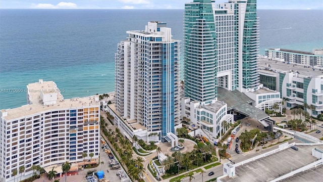 birds eye view of property featuring a city view and a water view