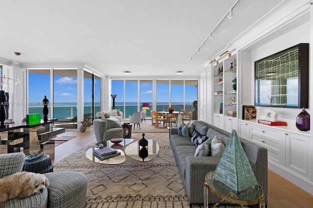 living area featuring a wall of windows, built in shelves, wood finished floors, track lighting, and a water view