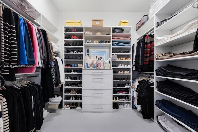 spacious closet with carpet floors