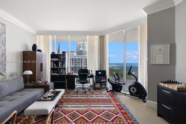 living area with a healthy amount of sunlight, crown molding, and expansive windows