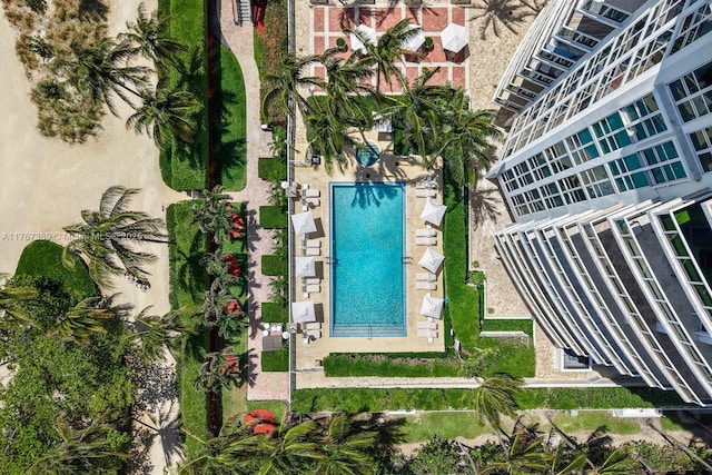 drone / aerial view