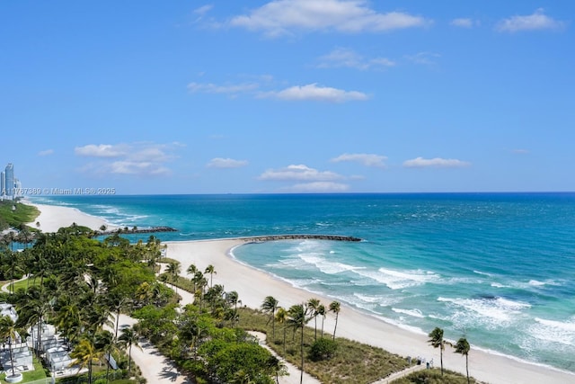 view of water feature with a view of the beach