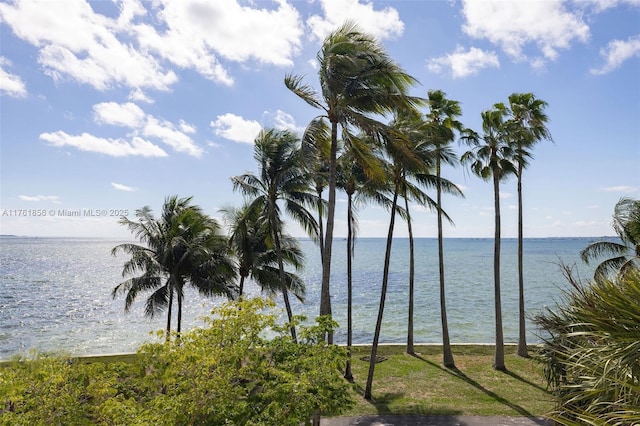 1 Grove Isle Dr Unit A409, Miami, FL 33133 - water view