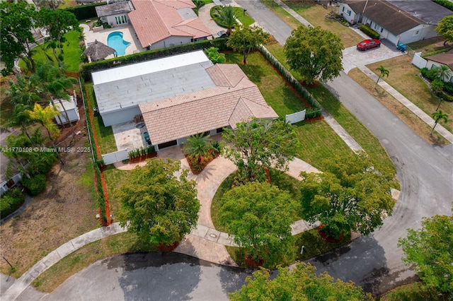 bird's eye view