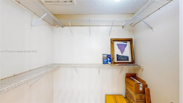 1140 Independence Trl Unit 1140-D, Homestead, FL 33034 - view of spacious closet