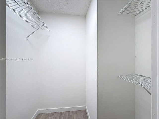 spacious closet featuring wood finished floors
