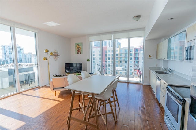 kitchen with expansive windows, dark wood-style flooring, a sink, and stainless steel appliances