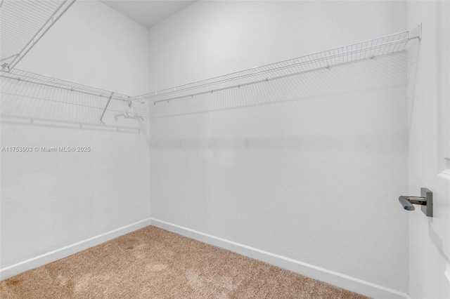spacious closet with carpet floors