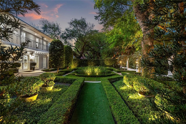 3916 Granada Blvd, Coral Gables, FL 33134 - view of yard with a balcony
