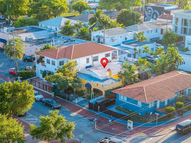 bird's eye view