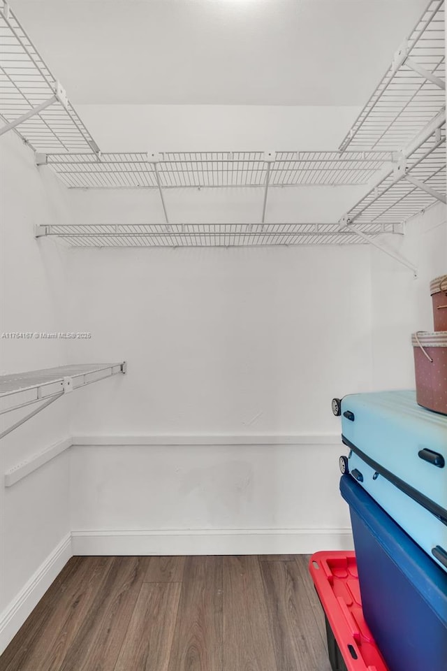 14841 Dade Pine Ave, Miami Lakes, FL 33014 - spacious closet featuring dark wood finished floors