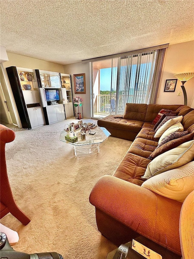 3161 S Ocean Dr Unit 708, Hallandale Beach, FL 33009 - living room featuring carpet and a textured ceiling