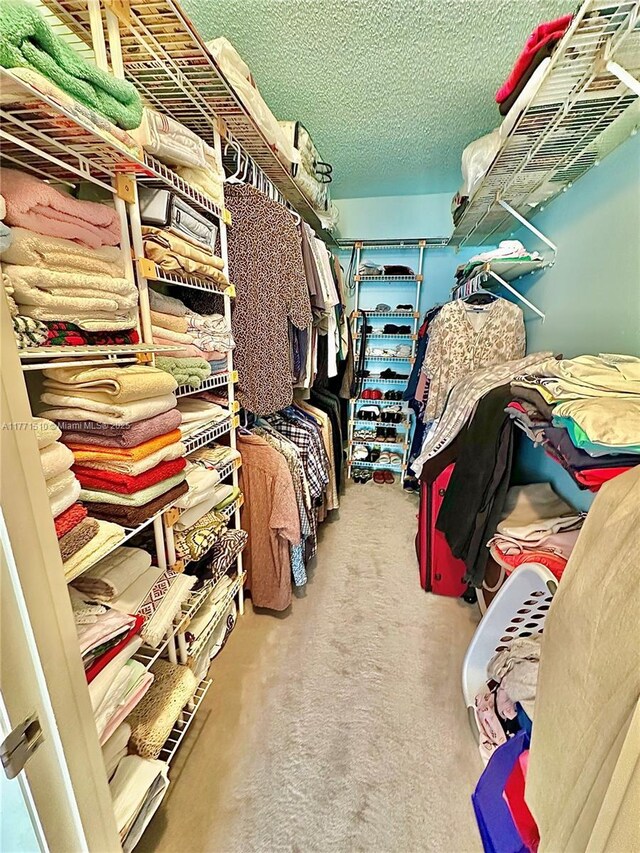 3161 S Ocean Dr Unit 708, Hallandale Beach, FL 33009 - spacious closet with carpet