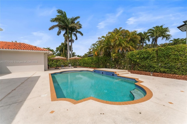 view of swimming pool with a patio area