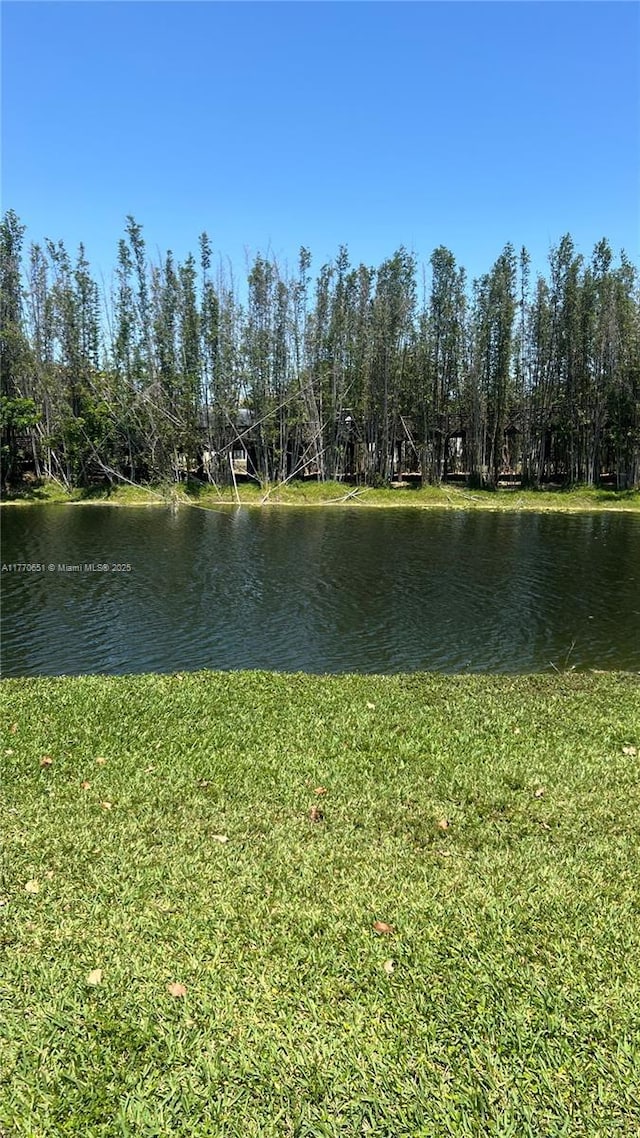 view of water feature