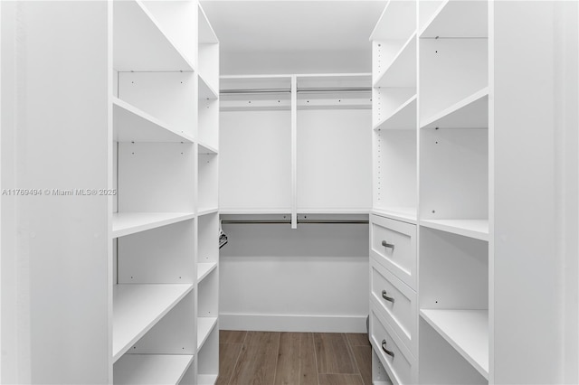 3291 SW 16th Ln, Miami, FL 33145 - walk in closet with wood finished floors