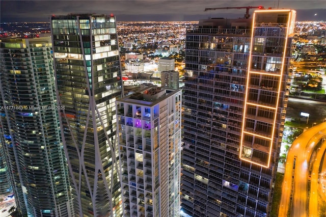 1100 Biscayne Blvd Unit 4901, Miami, FL 33132 - city view