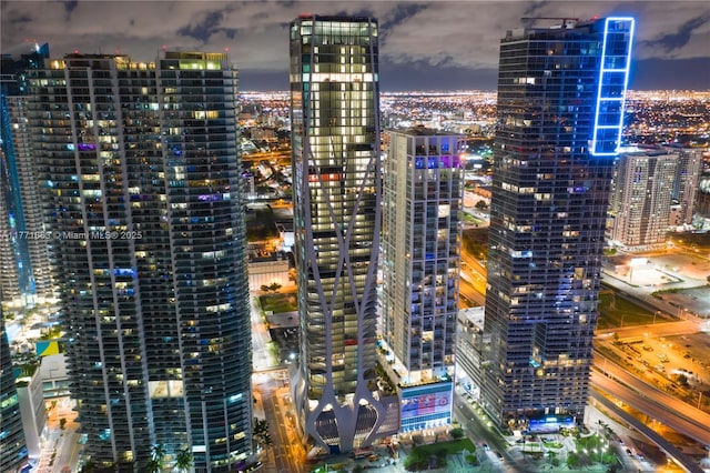1100 Biscayne Blvd Unit 4901, Miami, FL 33132 - city view