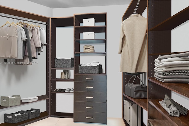 view of spacious closet