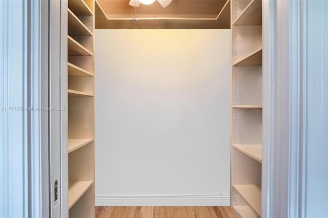 1259 NE 98th St, Miami Shores, FL 33138 - spacious closet with light wood finished floors