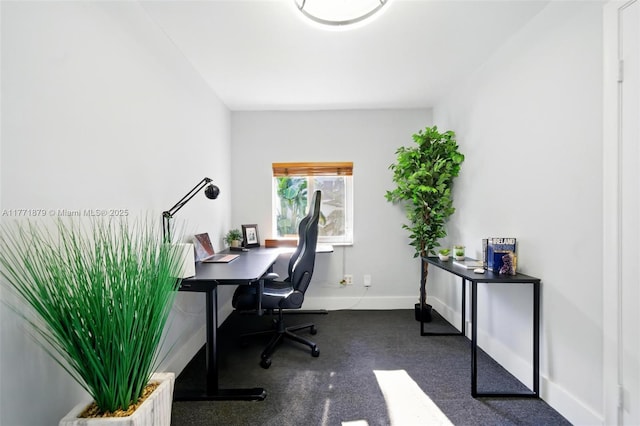 1259 NE 98th St, Miami Shores, FL 33138 - home office with carpet floors and baseboards