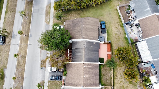 bird's eye view
