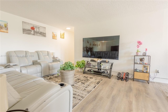 living room featuring wood finished floors and a textured ceiling