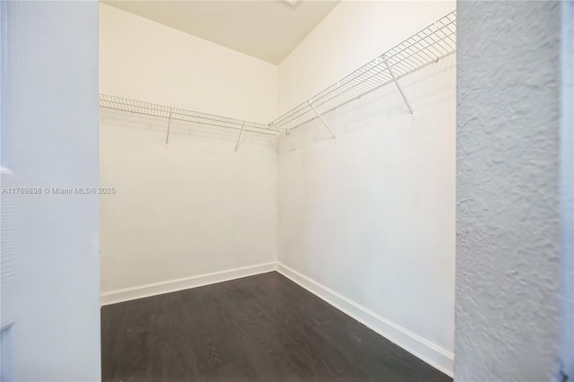 355 SE 20th Ave Unit 0, Homestead, FL 33033 - spacious closet featuring dark wood-style floors