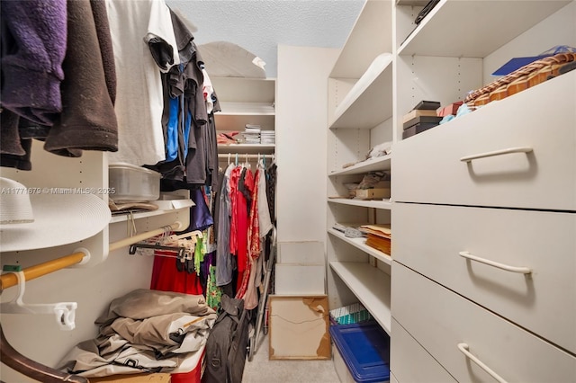 view of spacious closet