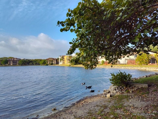 water view