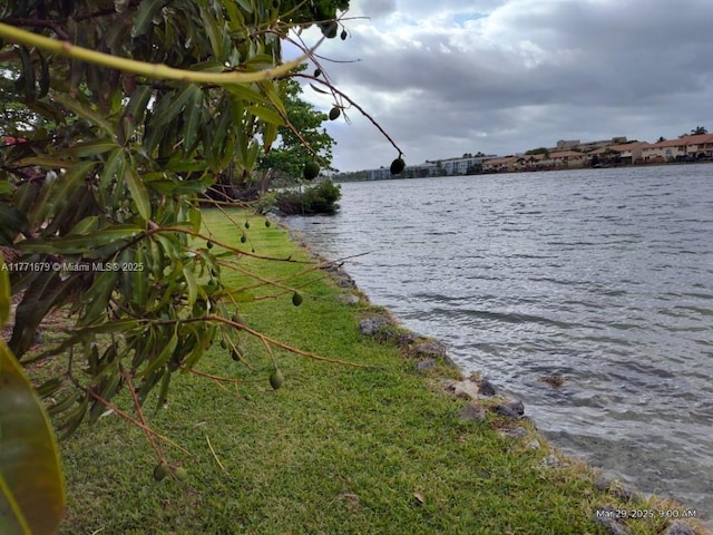water view