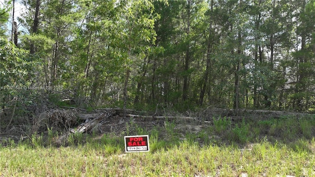 40 Village Center Dr, Homosassa Springs, FL 34446